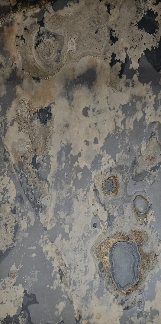 autumn rustic stone veneer