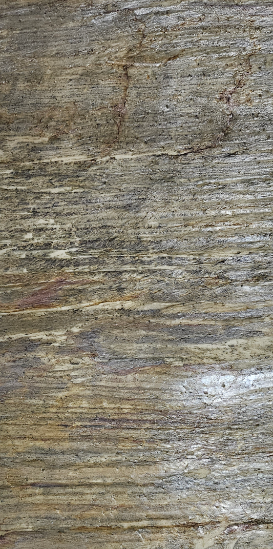 forest fire translucent