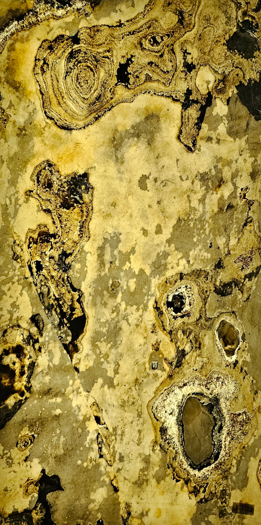 autumn rustic translucent