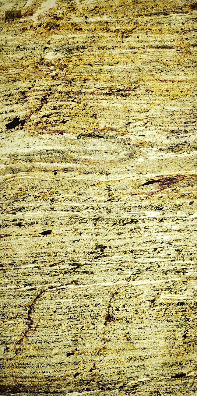 forest fire translucent