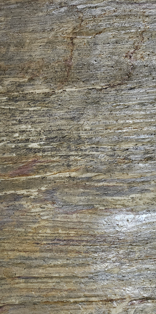 forest fire translucent