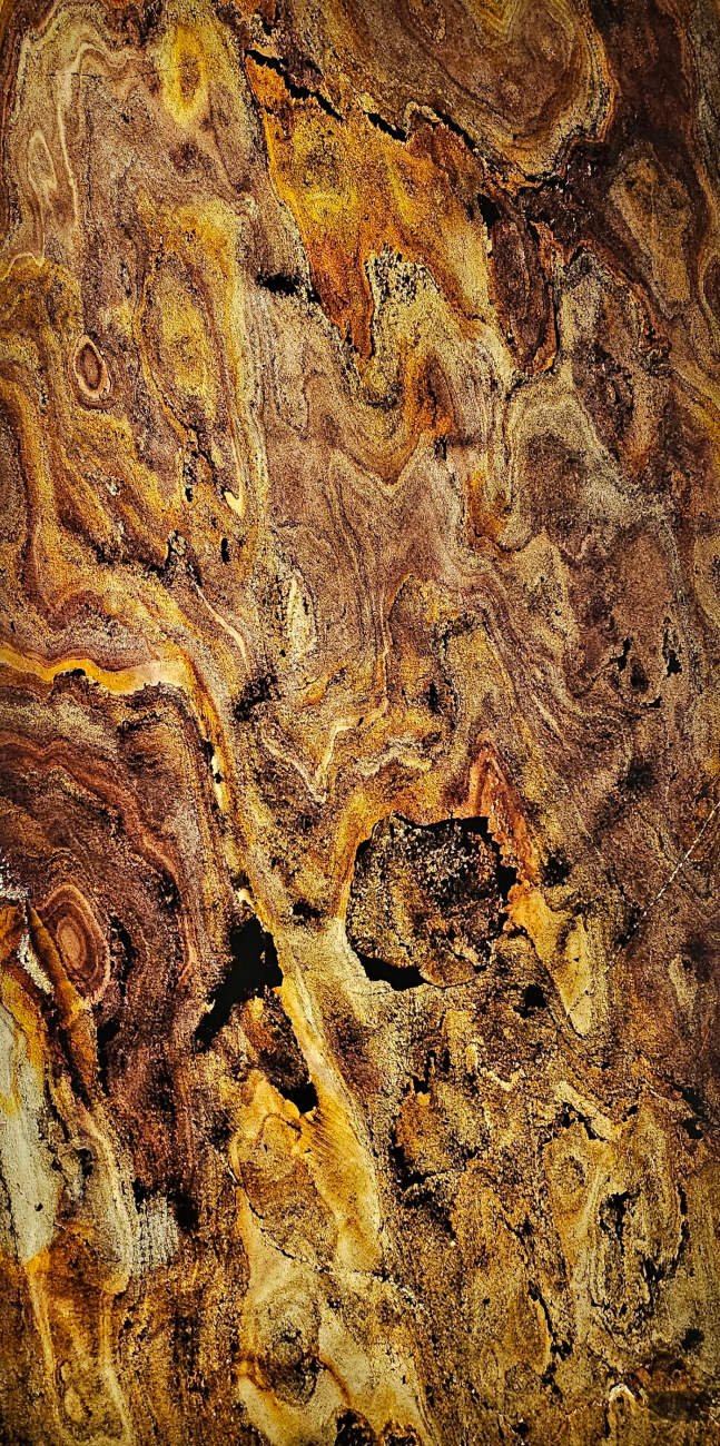 indian autumn translucent