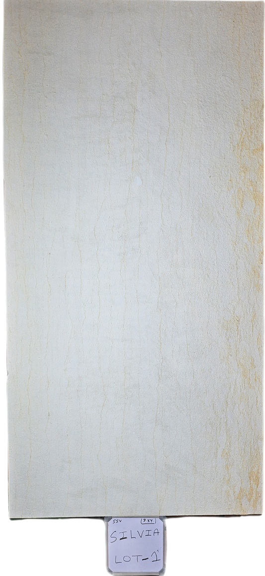Silvia (8 x 4)