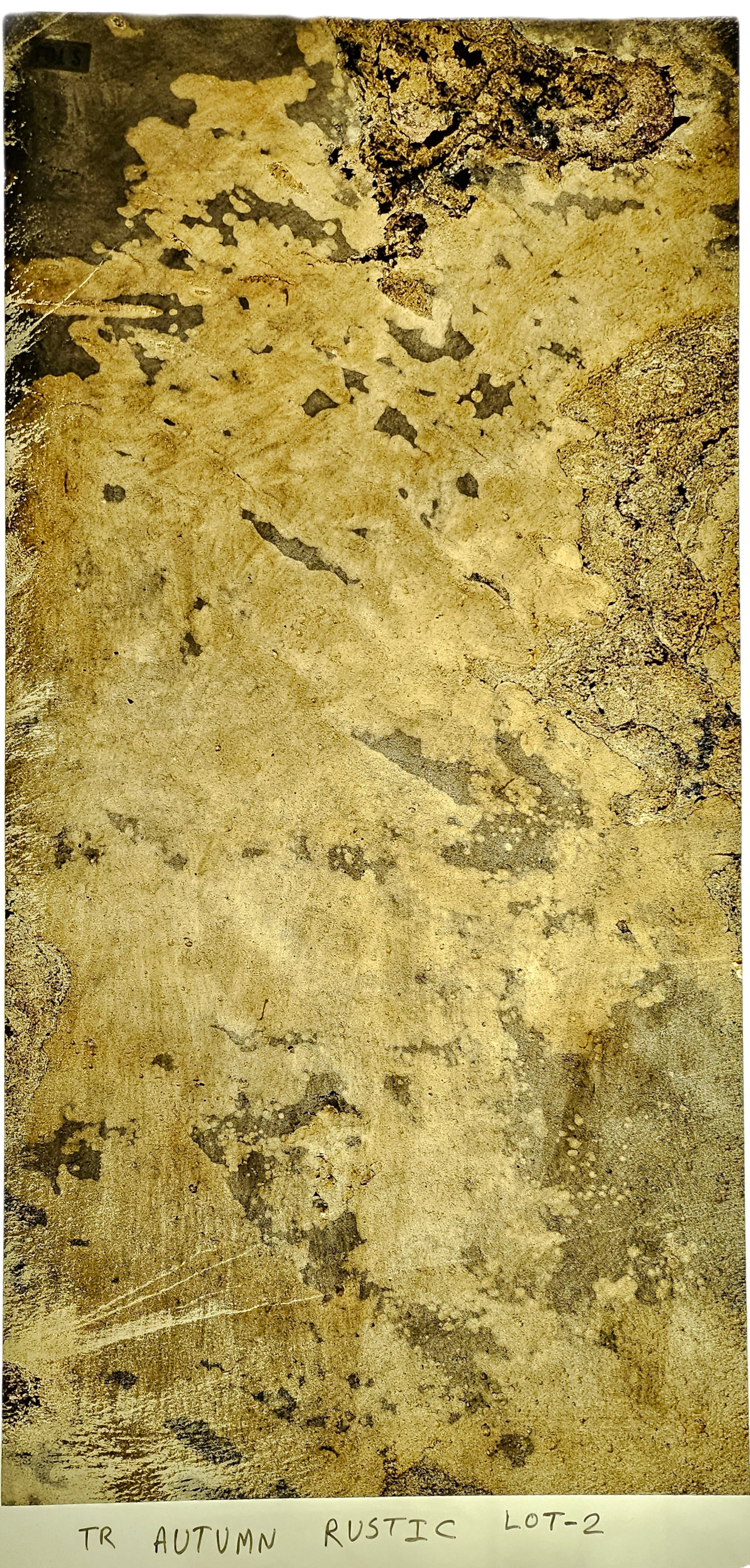 Autumn Rustic Translucent (4 x 2)