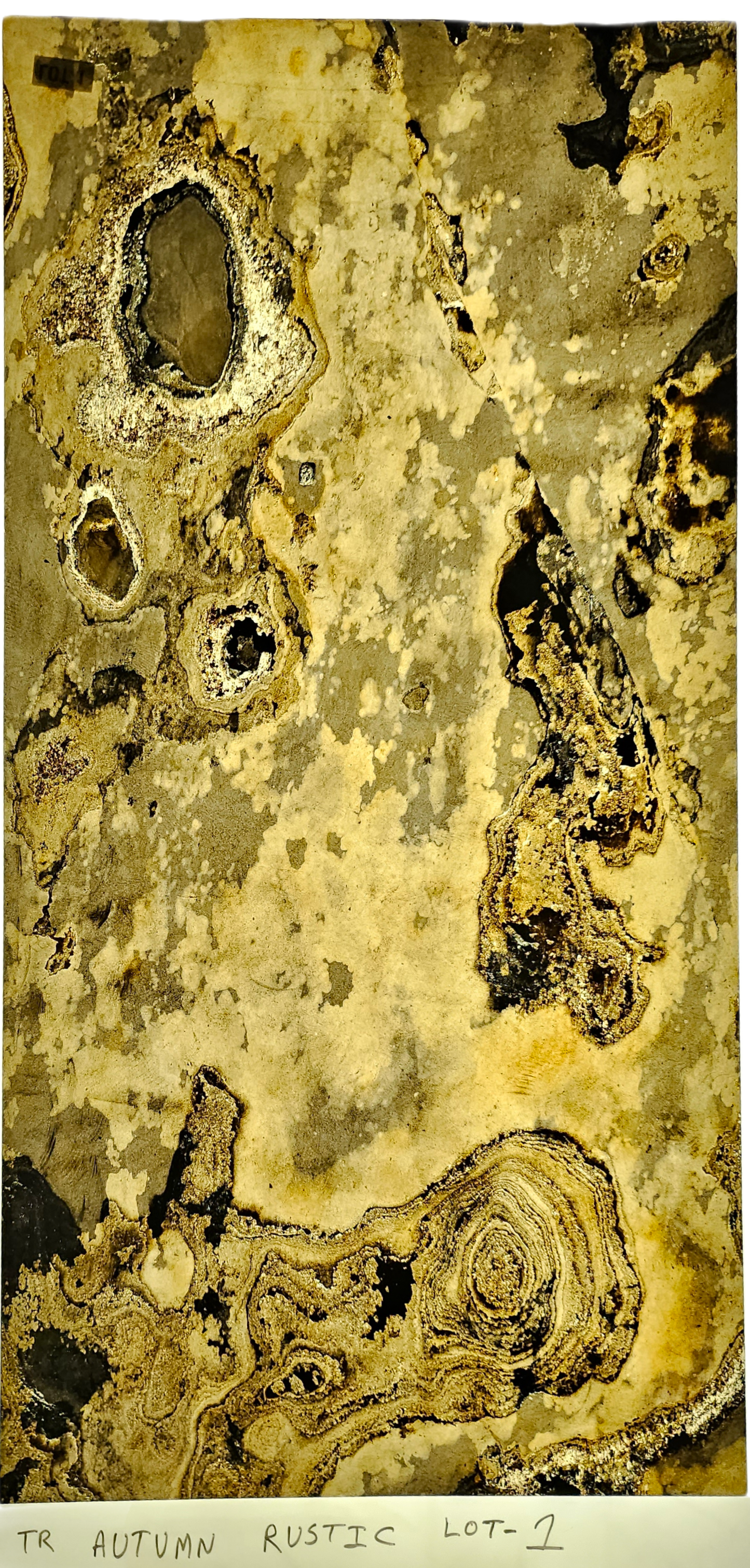 Autumn Rustic Translucent (4 x 2)