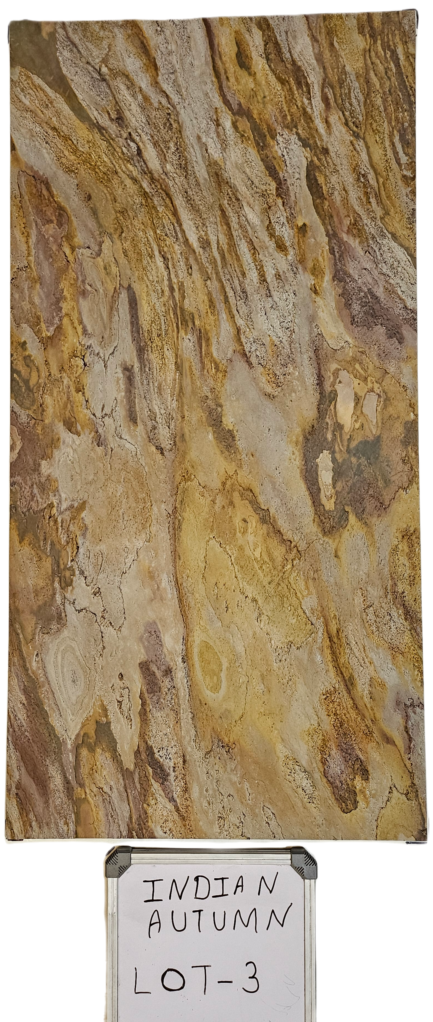 Indian Autumn (4 x 2)