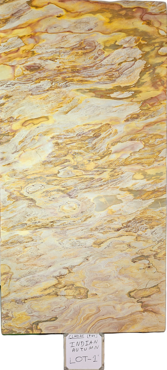 Indian Autumn (8 x 4)